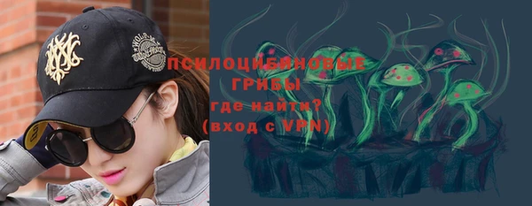 ALPHA PVP Горнозаводск