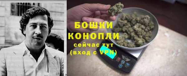 прущая мука Горняк