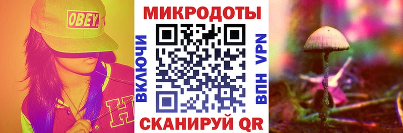 Галлюциногенные грибы GOLDEN TEACHER  Новотитаровская 